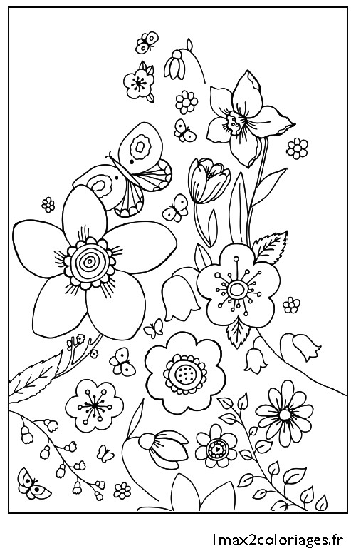 Coloriage De Printemps A Imprimer Gratuit Coloriage Fleurs Les Beaux Dessins De Nature   Imprimer Et