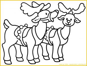 Coloriage De Rennes Du Pere Noel A Imprimer Nom Rennes Du Pere Noel