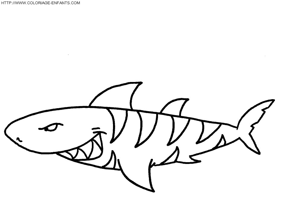 Coloriage De Requin Marteau 119 Dessins De Coloriage Requin   Imprimer