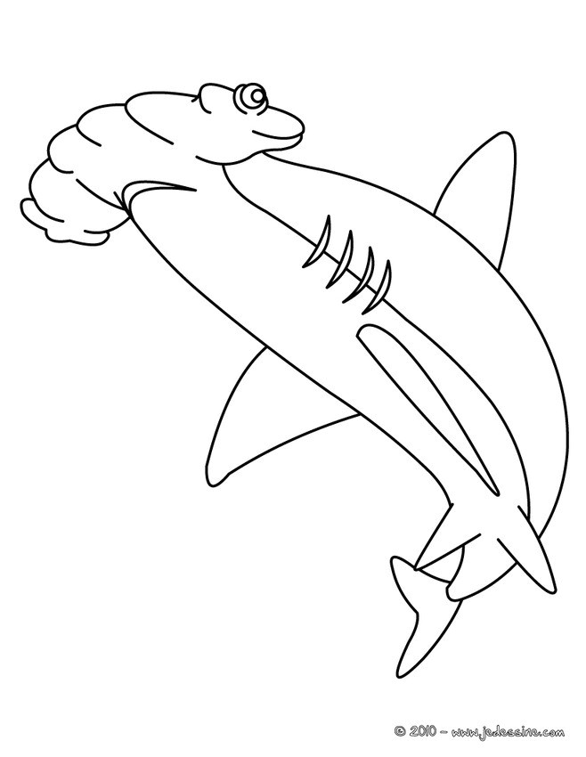 Coloriage De Requin Marteau Coloriages Coloriage D Un Requin Marteau Fr Hellokids