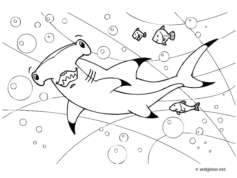 Coloriage De Requin Marteau Requin Marteau Coloriage Animaux Gratuit Sur Webjunior