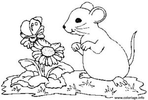 Coloriage De souris A Imprimer Gratuit Coloriage Fleurs Et souris Jecolorie