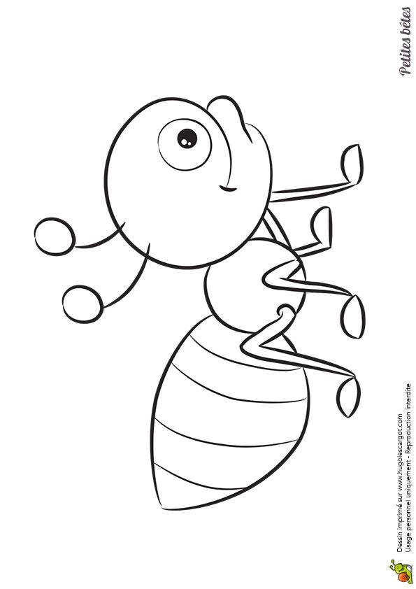 Coloriage De Tal Best 154 Coloriage De Papillons Et Autres Insectes Ideas On