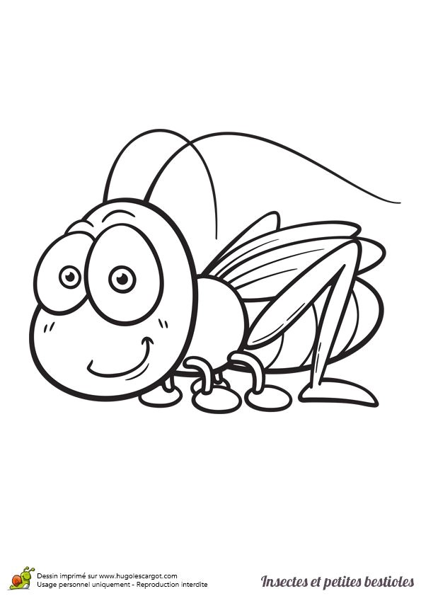 Coloriage De Tal Best 154 Coloriage De Papillons Et Autres Insectes Ideas On