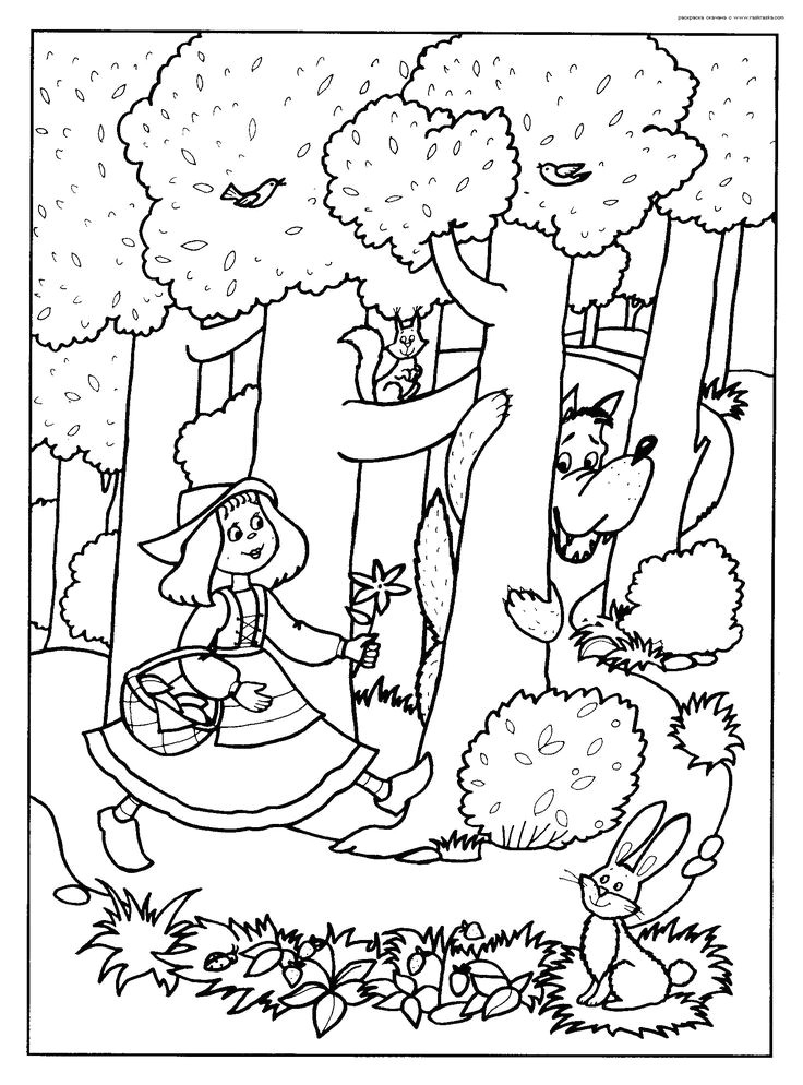 Coloriage Du Petit Chaperon Rouge 157 Best Conte Le Petit Chaperon Rouge Images On Pinterest
