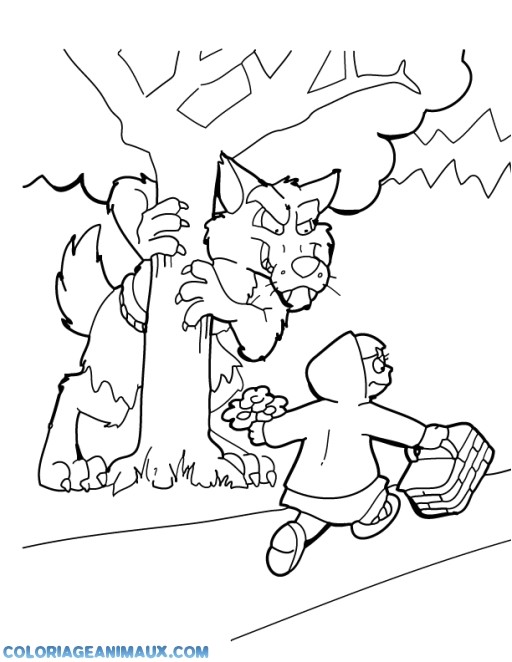 Coloriage Du Petit Chaperon Rouge 20 Dessins De Coloriage Loup Petit Chaperon Rouge   Imprimer
