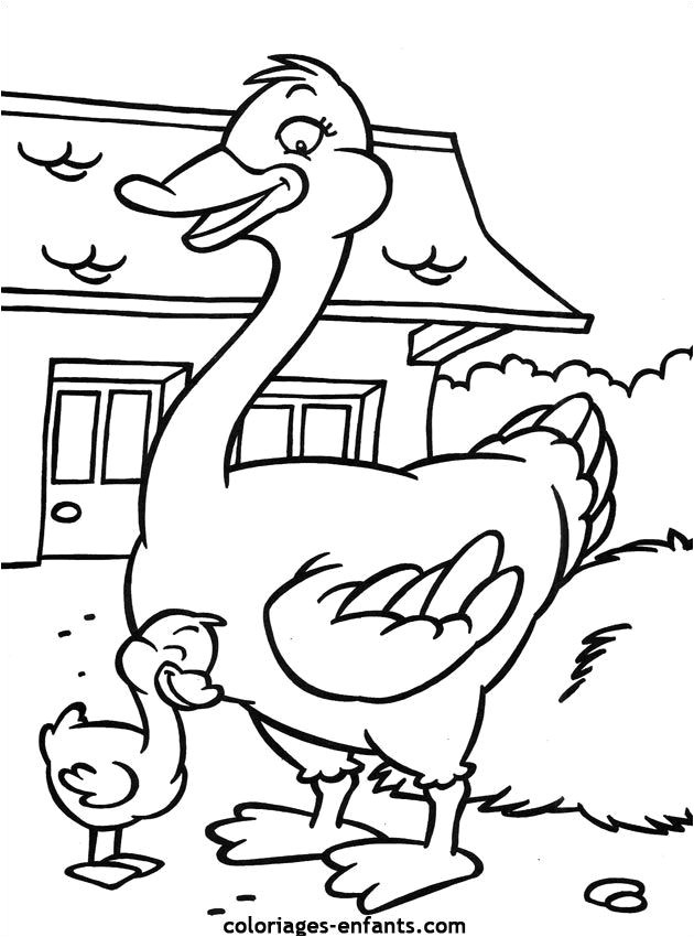 Coloriage-enfants.com Dessin De Canard   Colorier Pour Les Enfants