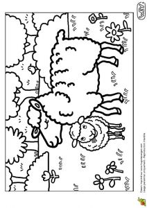 Coloriage F1 77 Best Coloriages De Bébés Animaux Images On Pinterest