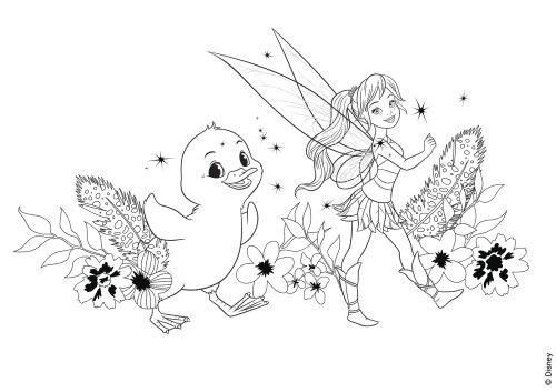 Coloriage Fée Clochette Et Ses Amies 250 Best La Fée Clochette Images On Pinterest