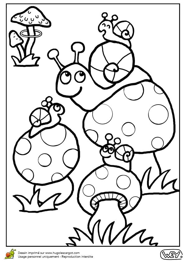 Coloriage Fées à Imprimer 77 Best Coloriages De Bébés Animaux Images On Pinterest