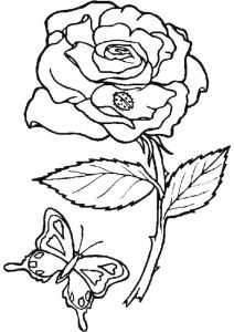 Coloriage Fleur Et Papillon A Imprimer Coloriage De Papillon Sur Une Fleur