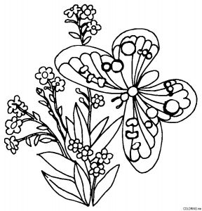 Coloriage Fleur Et Papillon A Imprimer Coloriage Papillon Coloring Pages Flowers butterflies Coloring Home