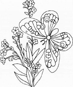 Coloriage Fleur Et Papillon A Imprimer Vol De Papillon Coloriages De Papillons Page 2
