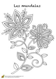 Coloriage Fleurs Et Plantes à Imprimer 104 Best Coloriages Images On Pinterest