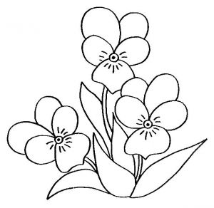Coloriage Fleurs Et Plantes à Imprimer 348 Best Coloriage Images On Pinterest