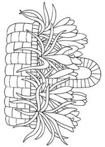 Coloriage Fleurs Et Plantes à Imprimer épinglé Par Nelly Gardi Sur Coloring Pages Pinterest