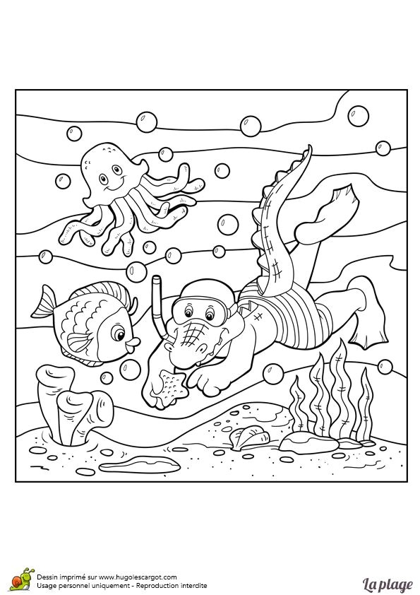 Coloriage Fond De Mer 143 Best Coloriages Vacances D été Images On Pinterest