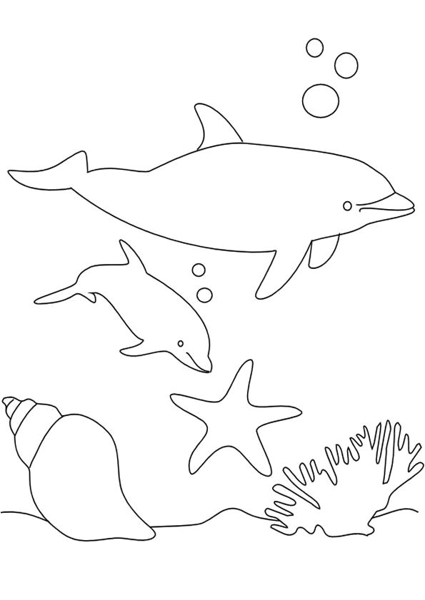 Coloriage Fond De Mer 226 Best Coloriages De Poissons Et Animaux Marins Images On