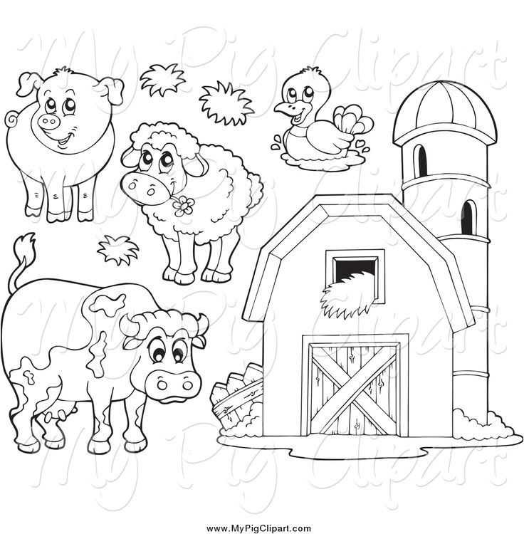 Coloriage Garçon 6 Ans Best 30 Zoo Gifs Images On Pinterest