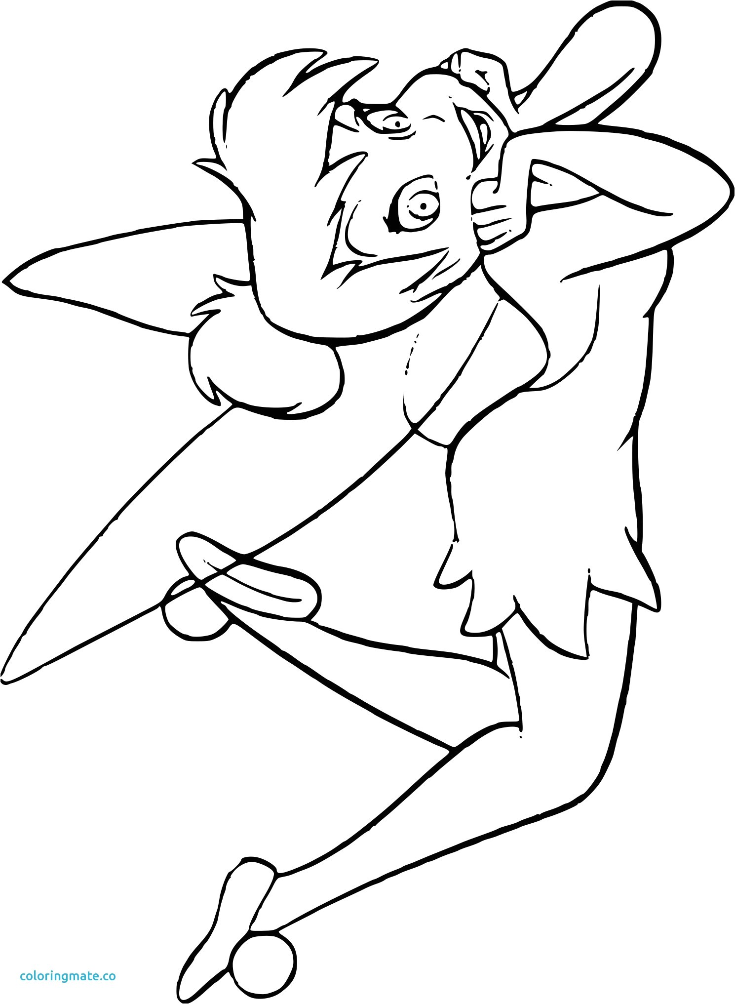 Coloriage Garçon à Imprimer Gratuit 10 Coloriage Bouba Le Petit Ourson