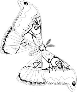 Coloriage Gymnastique Artistique 677 Best Blog Images On Pinterest