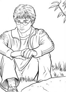 Coloriage Harry Potter 7 53 Best Coloring Pages Lineart Harry Potter Images On Pinterest