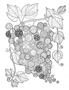 Coloriage Hobbit Arteterapie DuÅ¡e Lesa