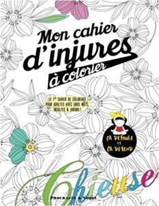 Coloriage Insulte Amazon Mon Cahier D Injures Colorier Le Premier Cahier De