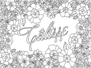 Coloriage Insulte Mon Cahier D Injures Québécoises   Colorier