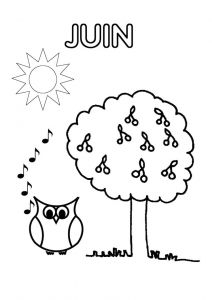 Coloriage Juin Maternelle 2984 Best organisation De Domi Images On Pinterest