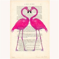 Coloriage Lapin Crètin A Imprimer Crazy Flamingo Mama Needs A Drink Embroidery Design From