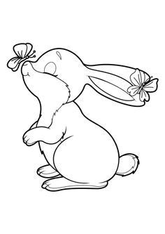 Coloriage Lapinoo Lapin Et Papillon Enfants Pinterest