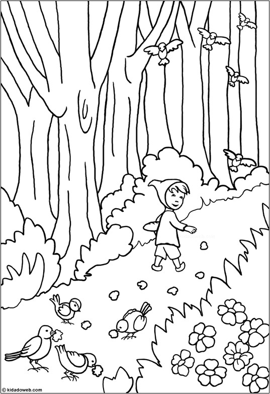 Coloriage Le Petit Poucet Kidadoweb Coloriages De Contes
