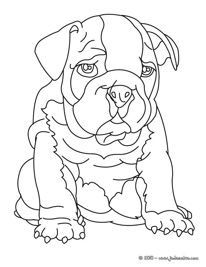 Coloriage Le Roi Et L Oiseau 50 Best Dessin Coloriage Images On Pinterest
