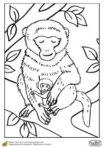 Coloriage Les as De La Jungle 77 Best Coloriages De Bébés Animaux Images On Pinterest