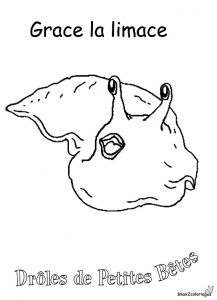 Coloriage Limace Coloriages Des Dr´les De Petites Bªtes Grace La Limace
