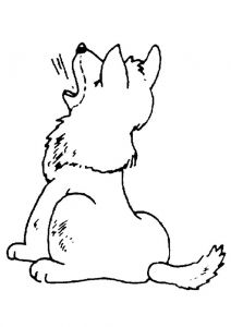 Coloriage Louveteau Coloriage Louveteau Sur Hugolescargot