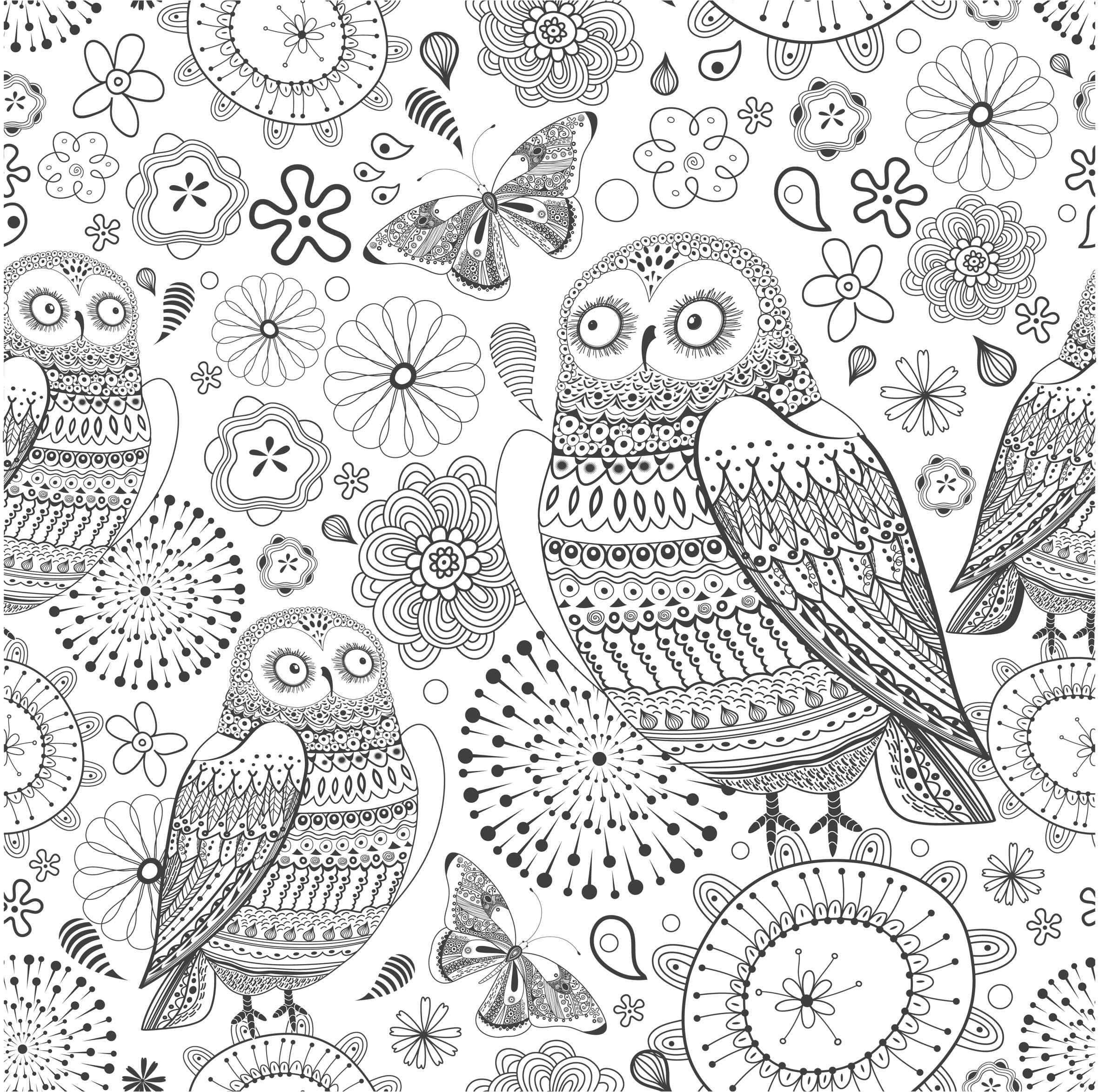 Coloriage Minutieux Coloring for Adults Kleuren Voor Volwassenen