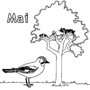 Coloriage Mois De Mai Coloriage Mois De Mai En Ligne Gratuit Imprimer