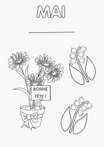 Coloriage Mois De Mai Présentation Du Classeur 6 Mois De Mai En Ms