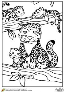 Coloriage Mural 77 Best Coloriages De Bébés Animaux Images On Pinterest