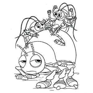 Coloriage Mygale Coloriage Insectes A Imprimer Gratuit Coloriage Mygale Imprimer