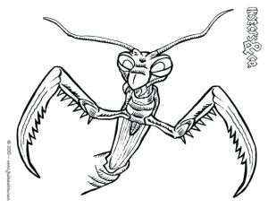 Coloriage Mygale Coloriage Mygale Dessin De Chateau A Frelon Imprimer Mante