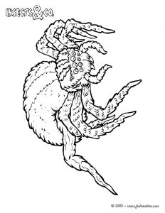 Coloriage Mygale Coloriages Jungle Le Paradis Des Z Animaux