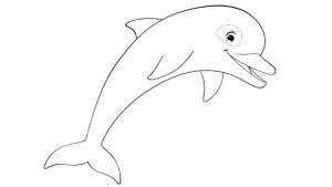 Coloriage Oum Le Dauphin Coloriages Oum Le Dauphin Blanc Coloriages Oum Coloriage Dauphin