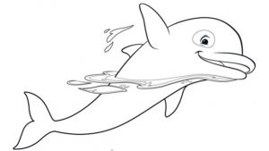 Coloriage Oum Le Dauphin Coloriages Oum Le Dauphin Blanc