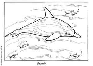 Coloriage Oum Le Dauphin Superbes Coloriages De Dauphin Facile – Kewlfr