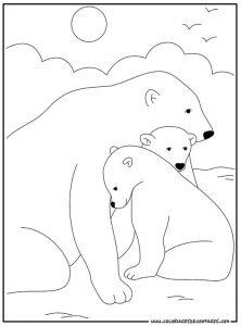 Coloriage Ours Blanc 304 Best Ours Images On Pinterest
