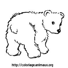 Coloriage Ours Blanc Bear Coloring Page From Twistynoodle