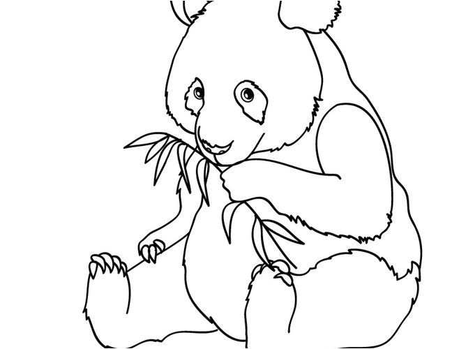Coloriage Panda A Imprimer Gratuit 25 Panda Coloriages Beau